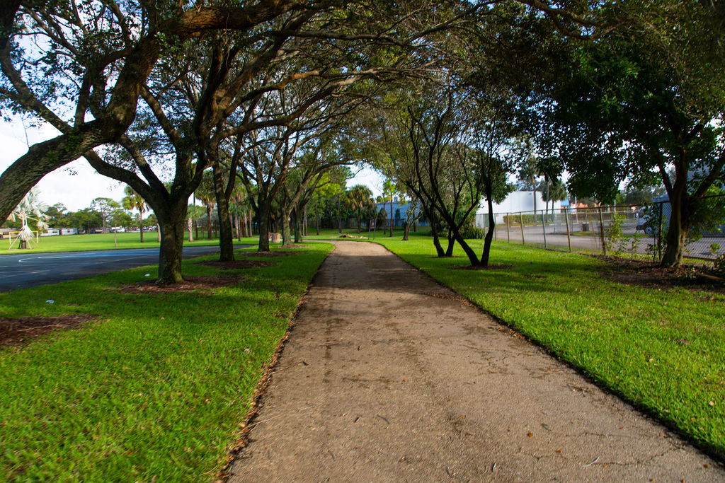 Photo of walkway at Shirley Small Park